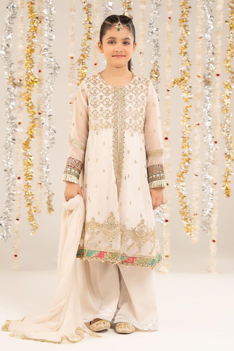 2 Piece Embroidered Organza Suit thumbnail