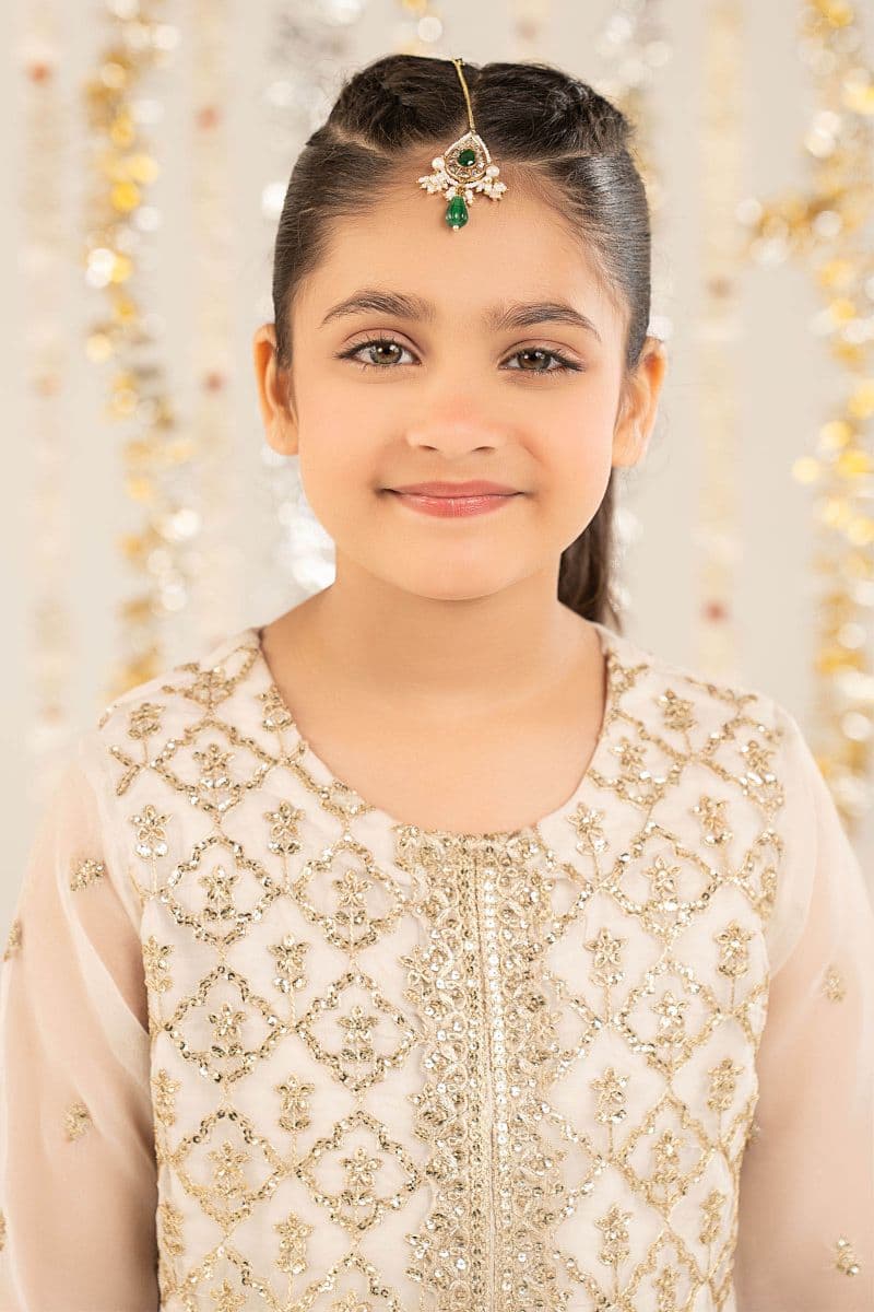2 Piece Embroidered Organza Suit thumbnail