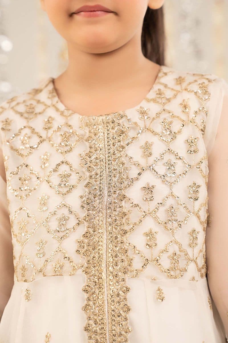 2 Piece Embroidered Organza Suit thumbnail