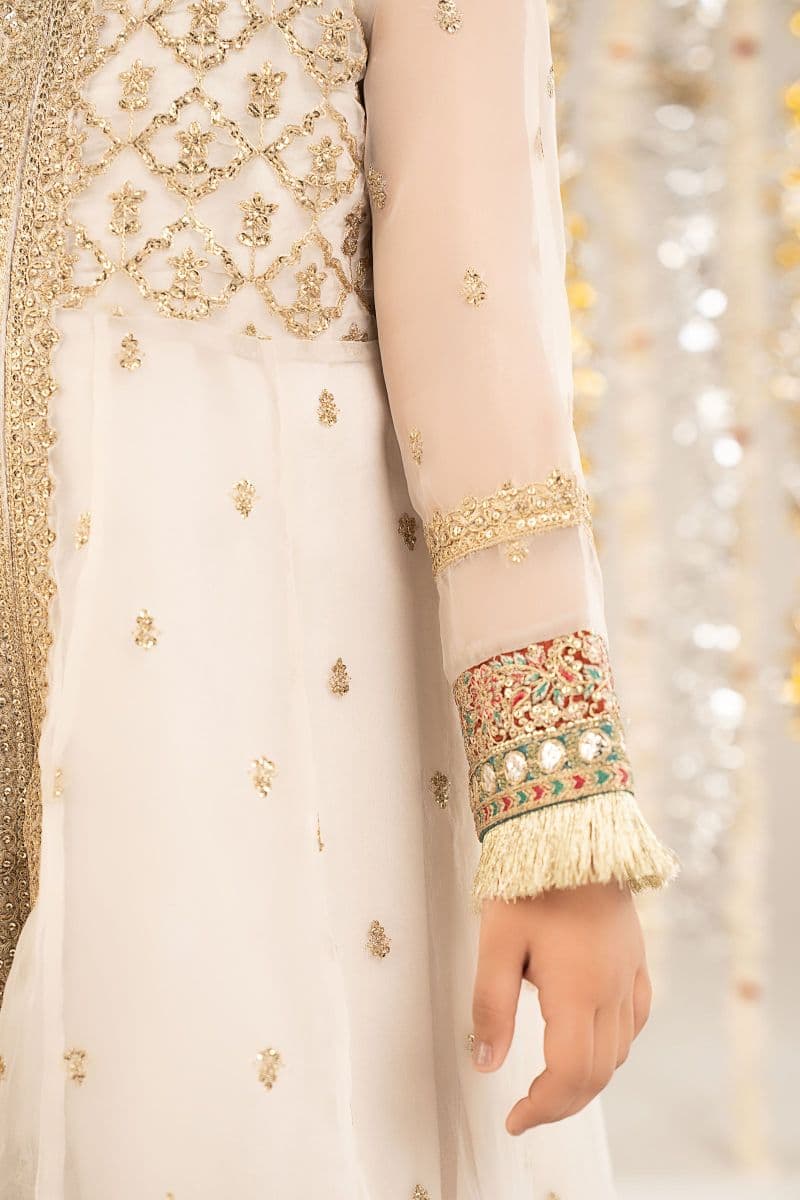 2 Piece Embroidered Organza Suit thumbnail