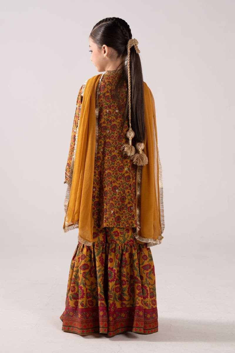 3 Piece Embroidered Raw Silk Suit thumbnail
