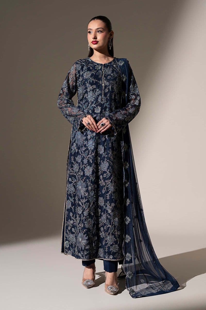 Embroidered Net Fabric (2Pcs)