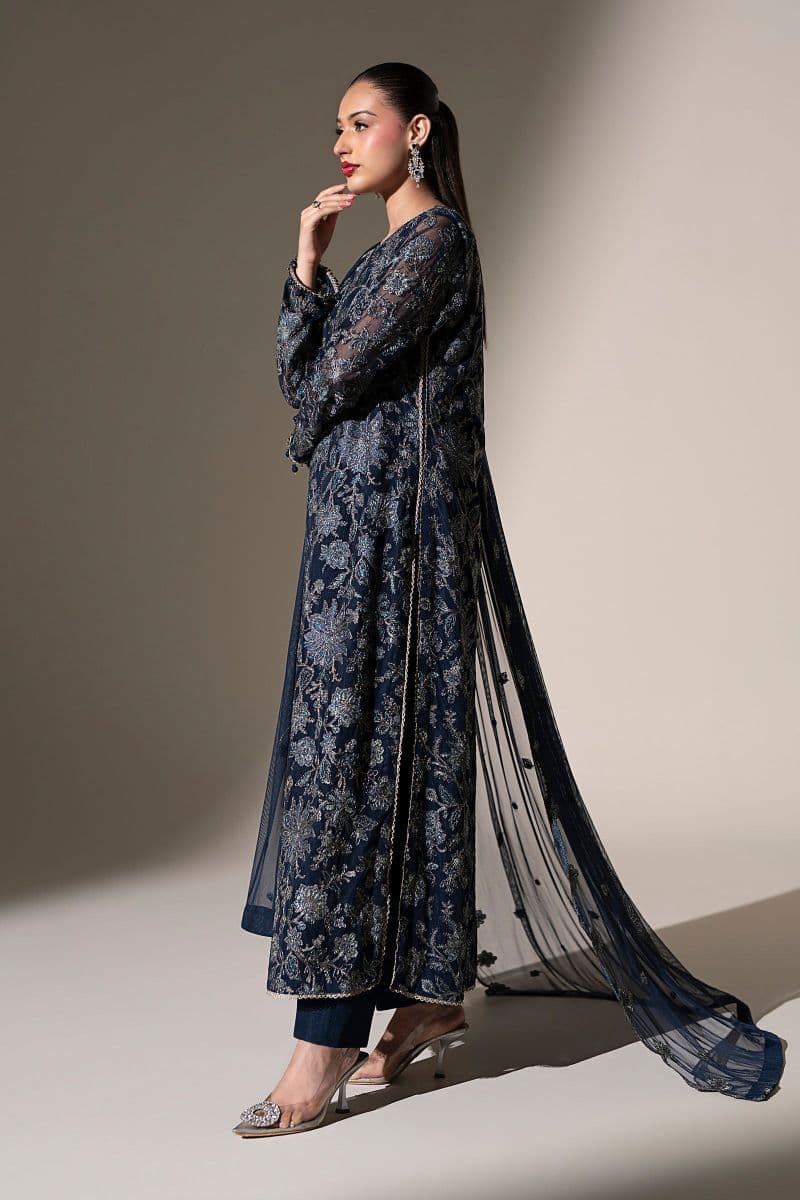 Embroidered Net Fabric (2Pcs)