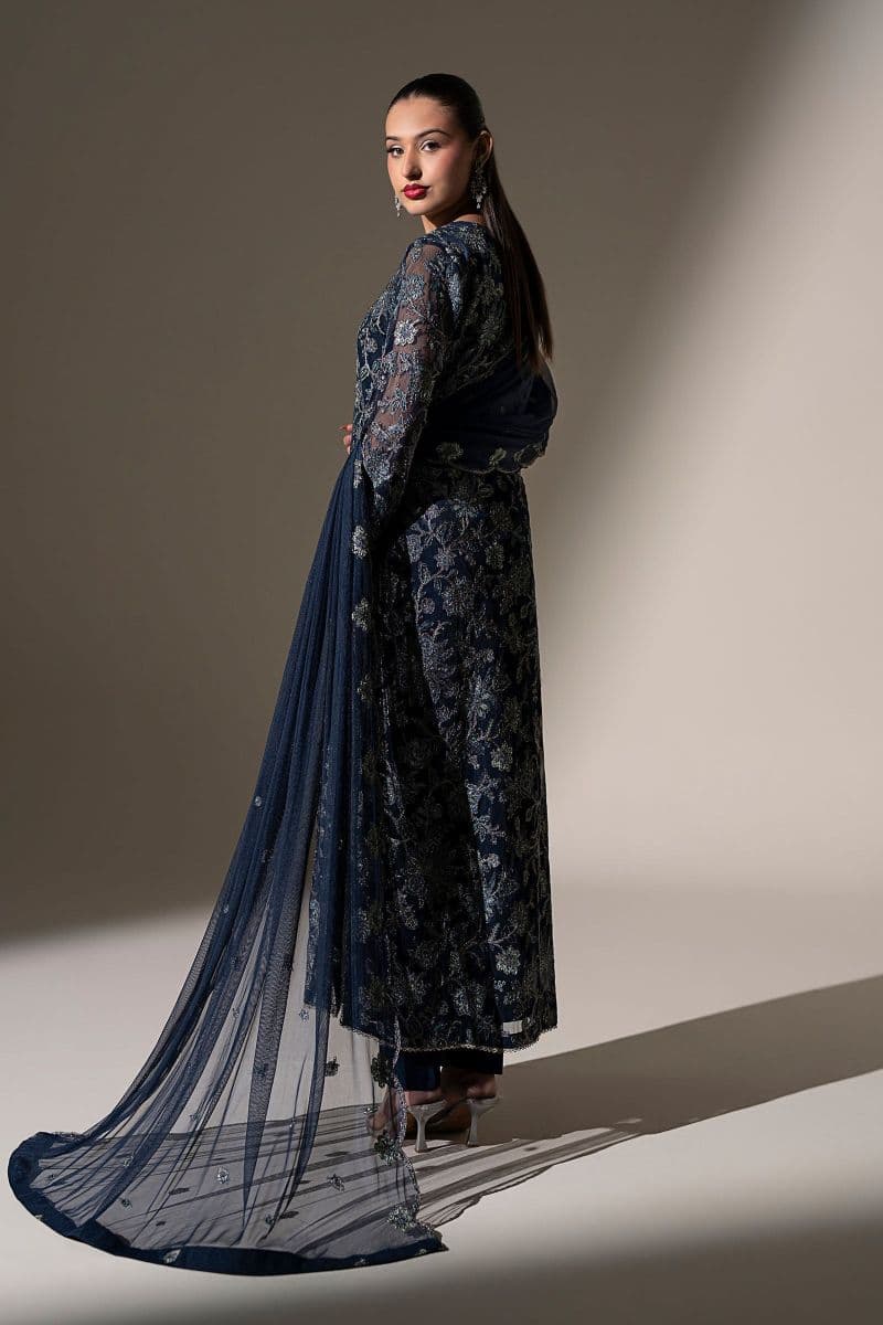 Embroidered Net Fabric (2Pcs)
