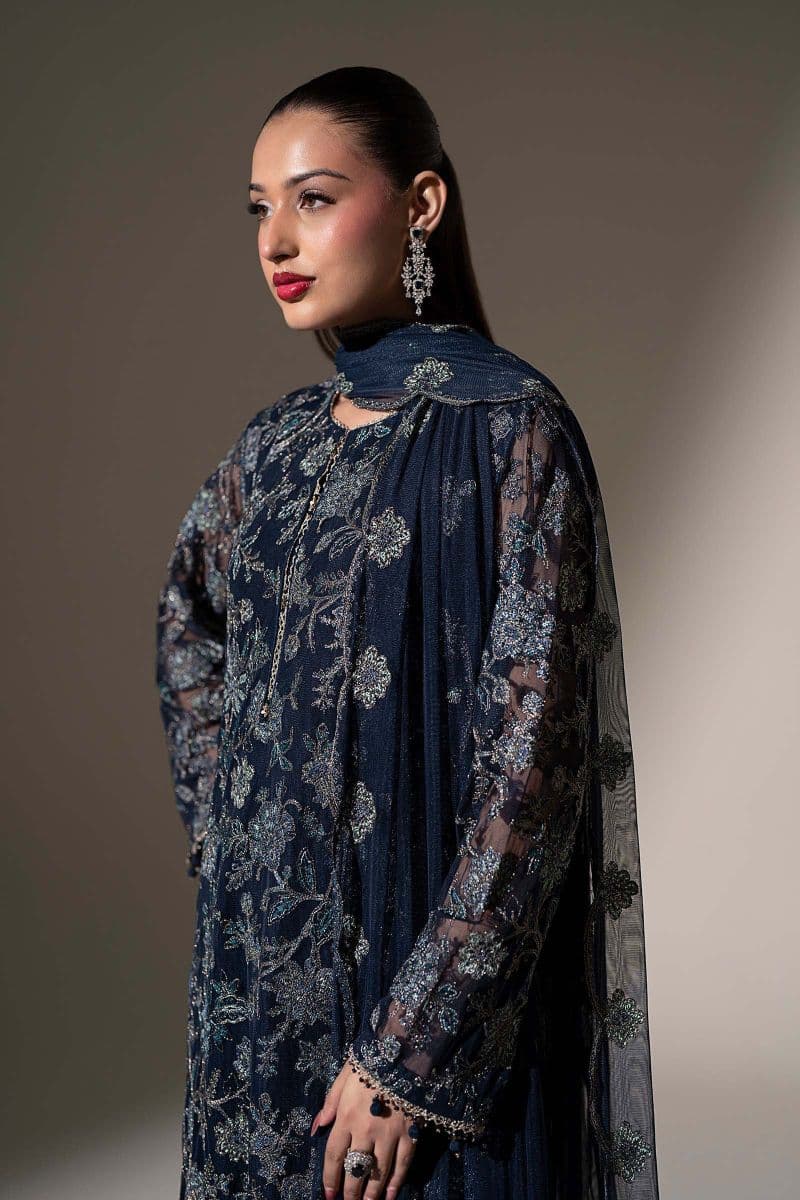 Embroidered Net Fabric (2Pcs)