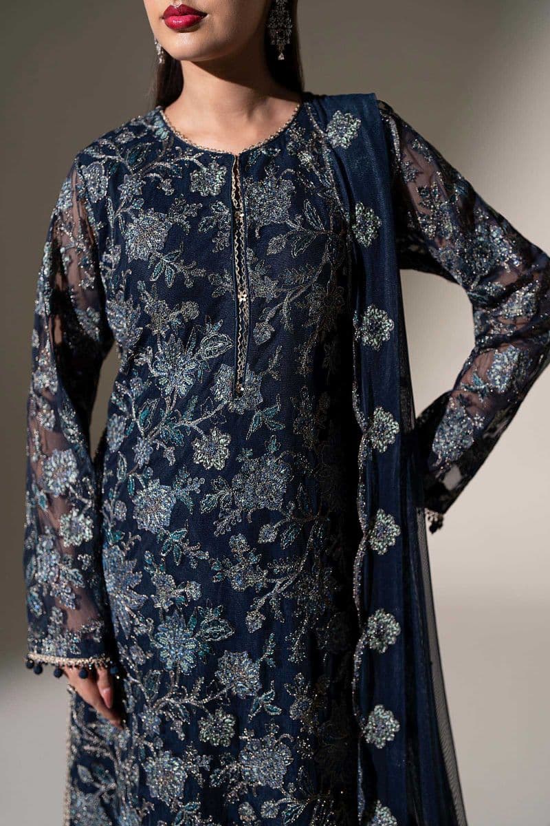 Embroidered Net Fabric (2Pcs)