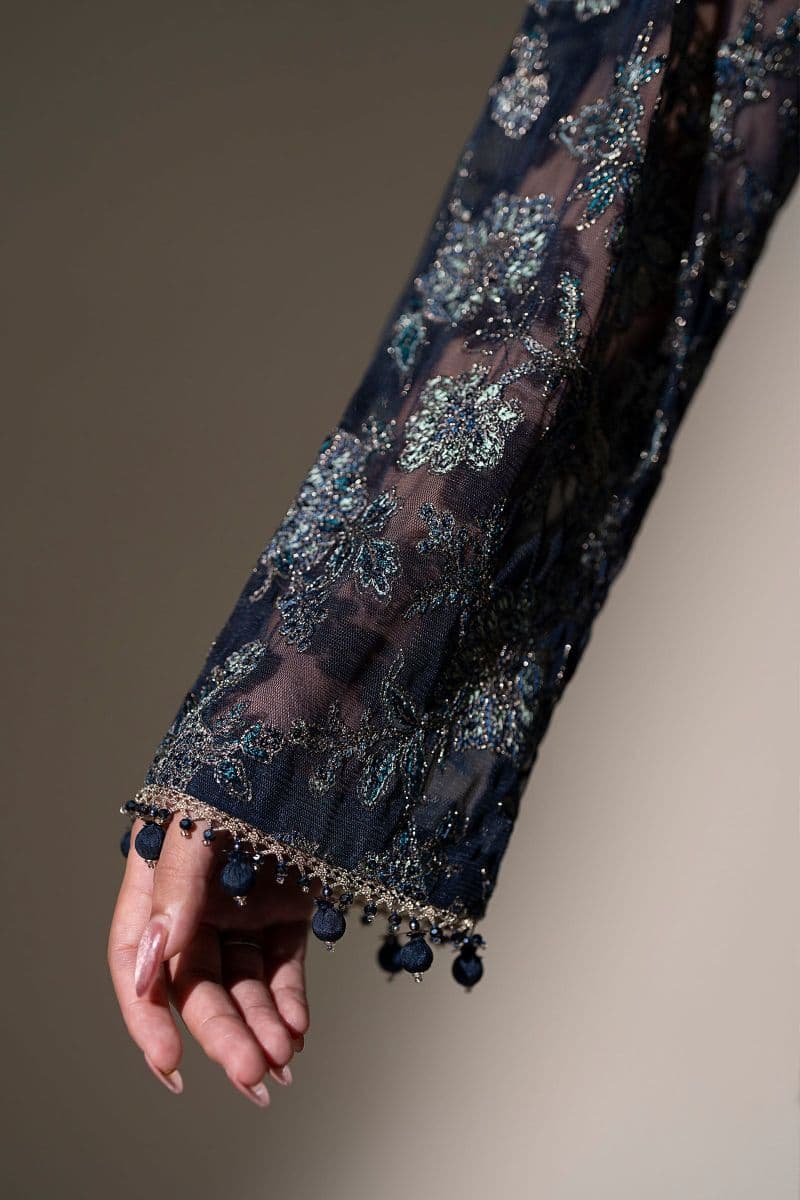 Embroidered Net Fabric (2Pcs)