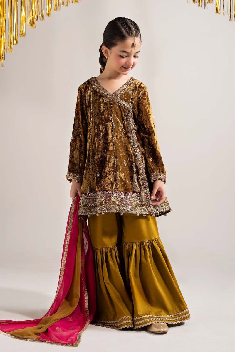 3 Piece Embroidered Velvet Suit