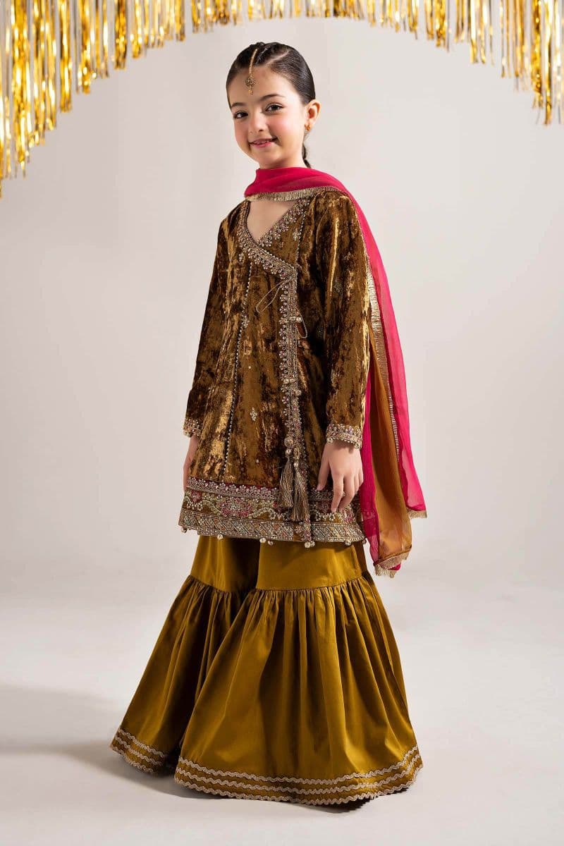 3 Piece Embroidered Velvet Suit
