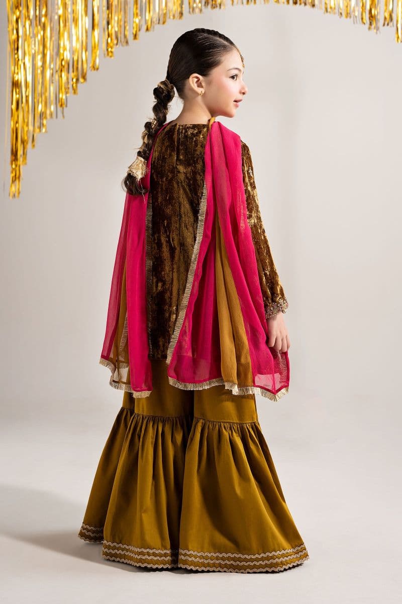 3 Piece Embroidered Velvet Suit