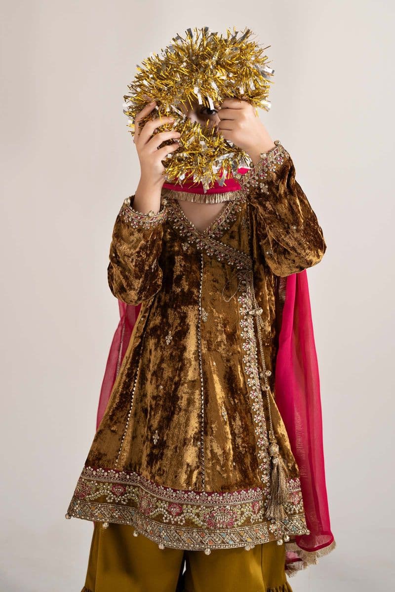 3 Piece Embroidered Velvet Suit