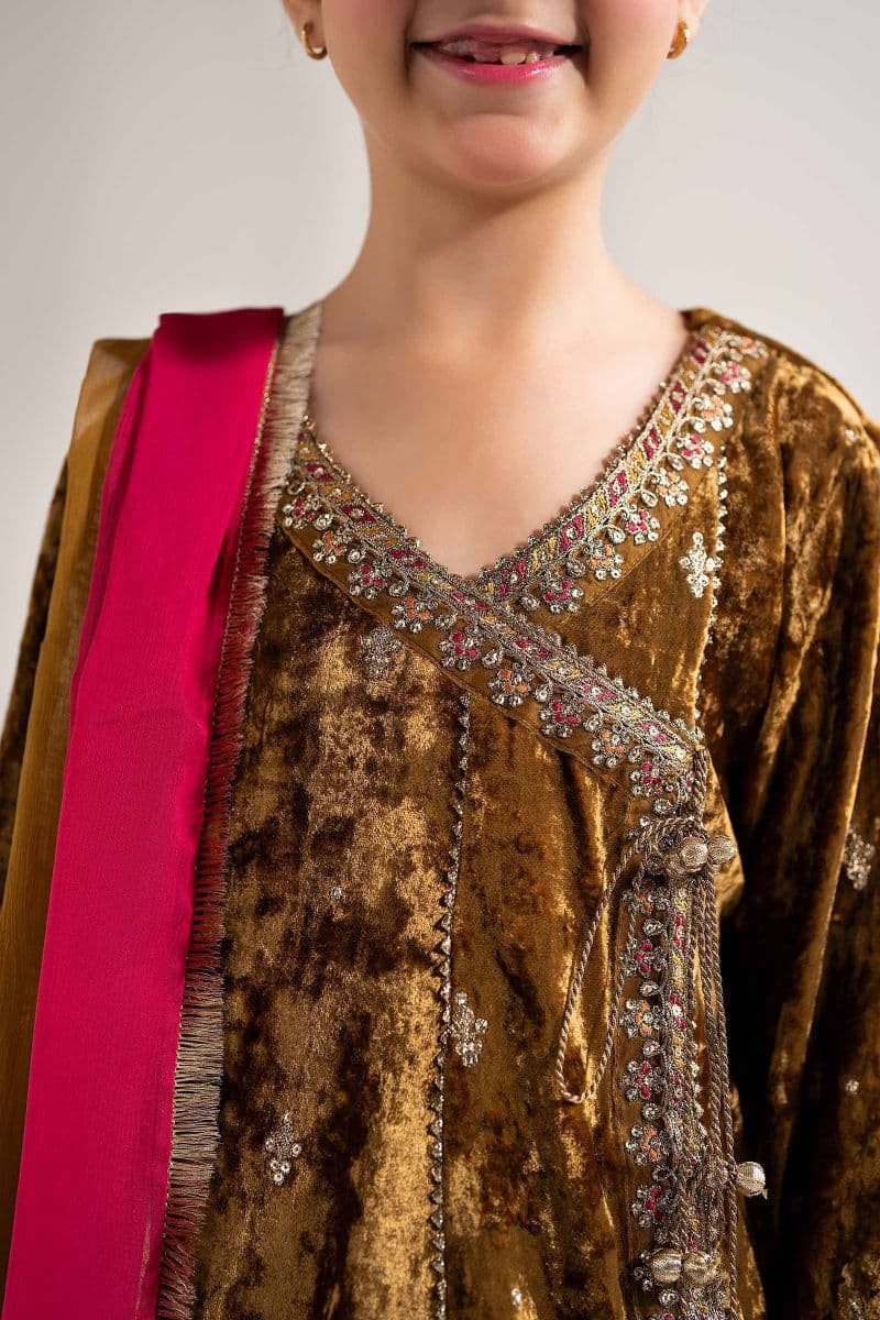 3 Piece Embroidered Velvet Suit