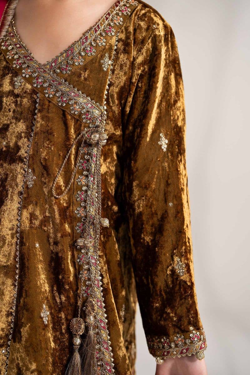 3 Piece Embroidered Velvet Suit