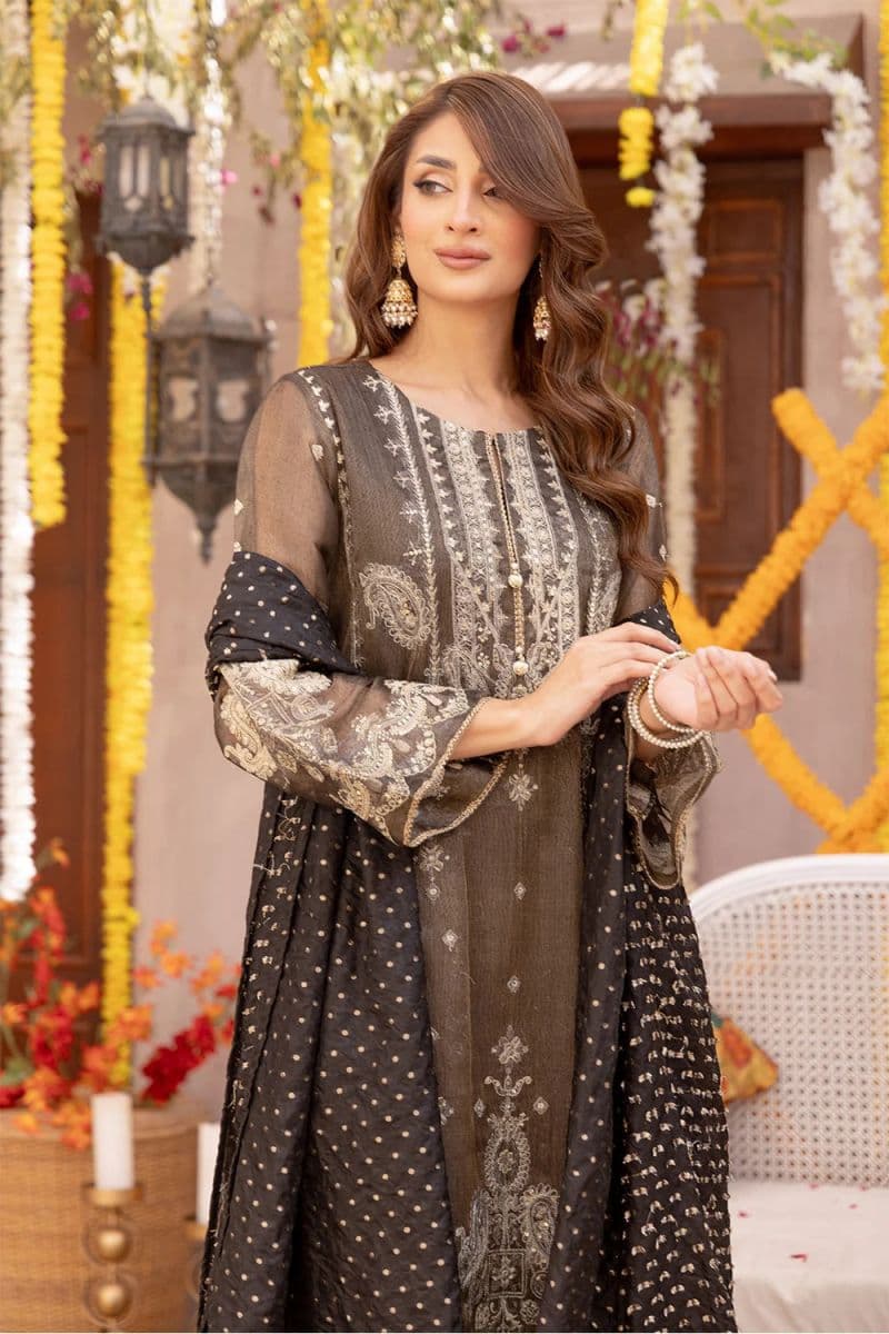 3 Piece - Embroidered Zari Net Suit