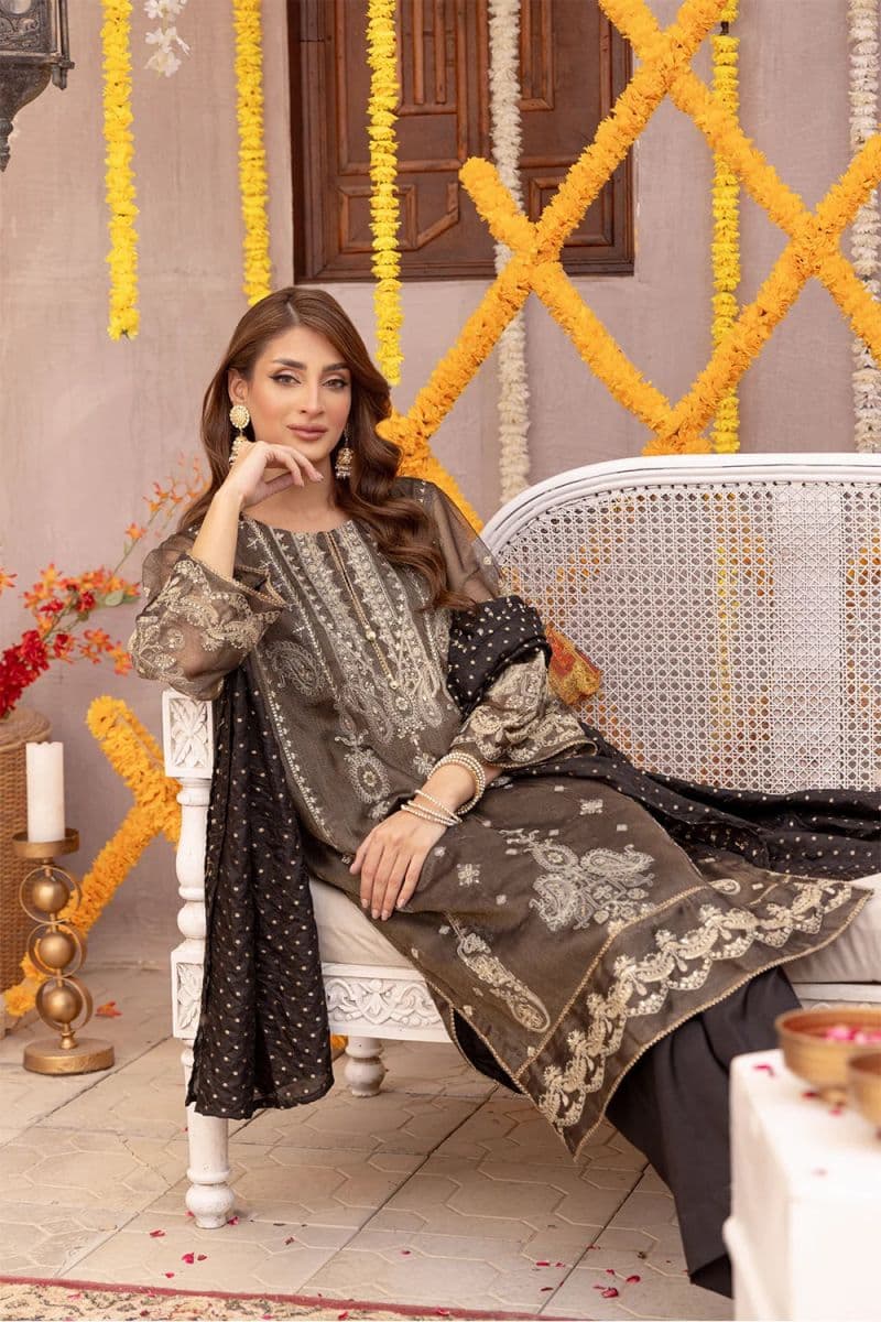 3 Piece - Embroidered Zari Net Suit