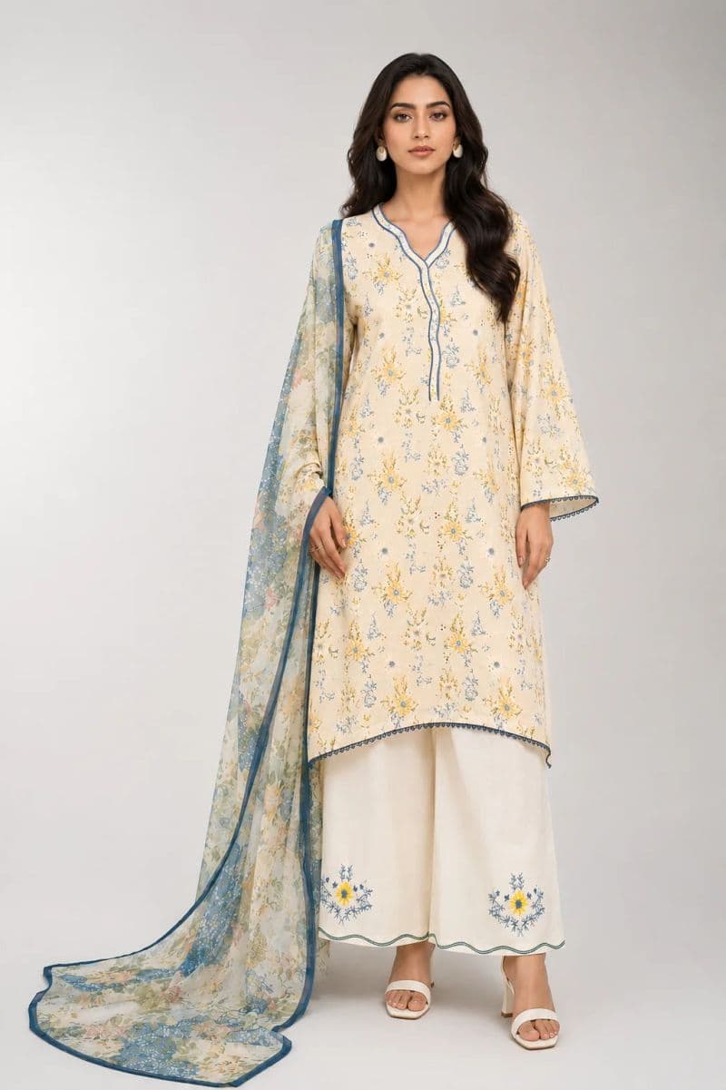 3 Piece - Embroidered Chikankari Suit