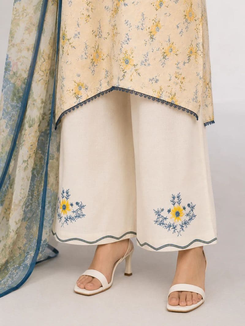 3 Piece - Embroidered Chikankari Suit