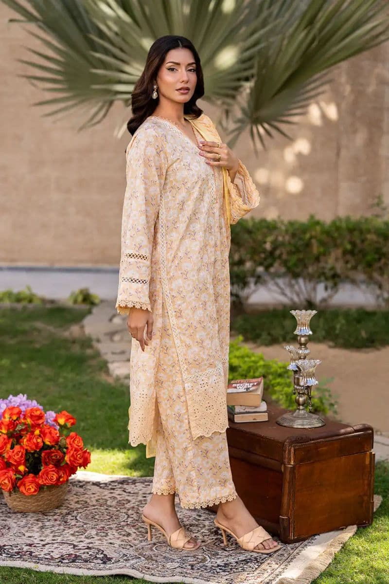 3 Piece - Printed Printkari Suit