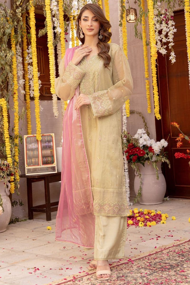 3 Pc Embroidered Zari Net Luxury Stitched Suit