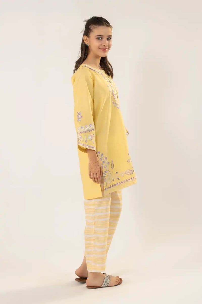 2 Piece - Embroidered Texture Suit