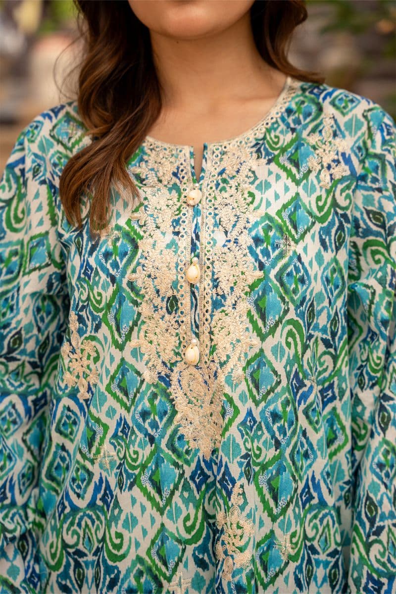 2 Piece - Embroidered Lawn Suit