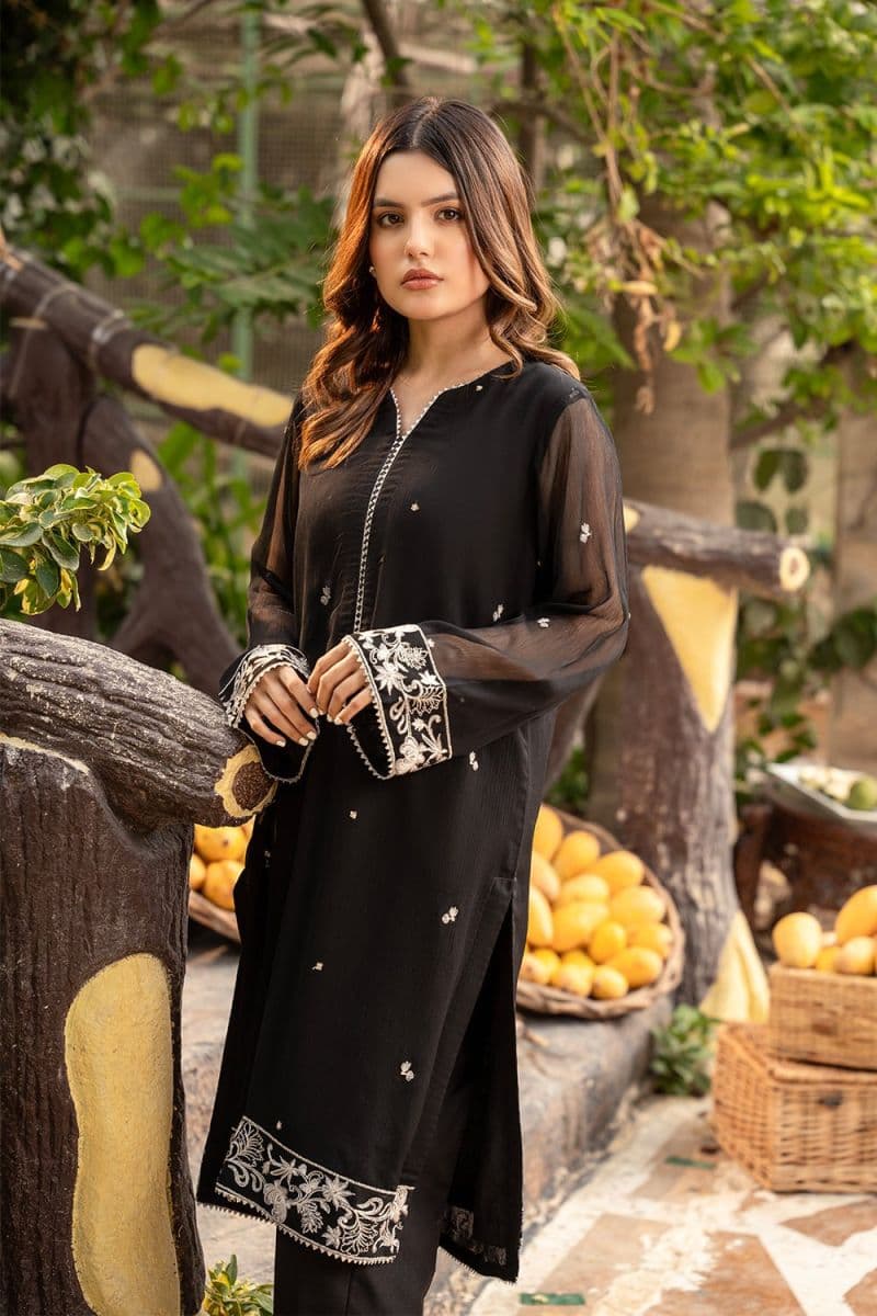 2 Piece - Embroidered Chiffon Suit thumbnail