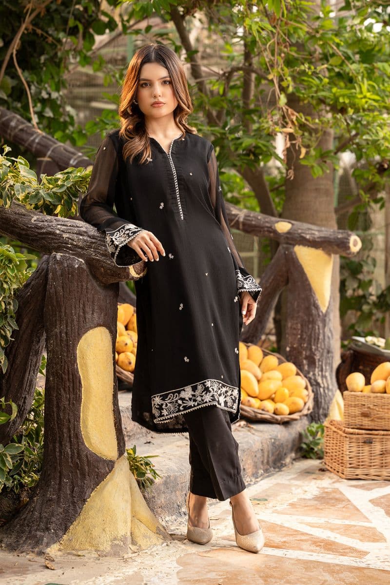 2 Piece - Embroidered Chiffon Suit thumbnail