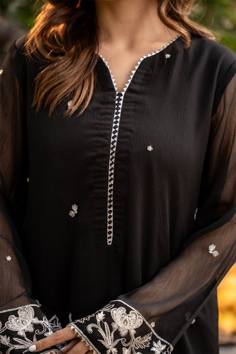 2 Piece - Embroidered Chiffon Suit thumbnail