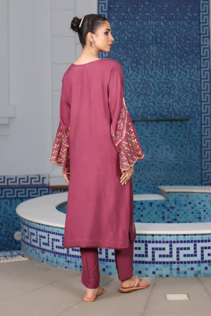 2 Piece - Embroidered Karandi Suit thumbnail