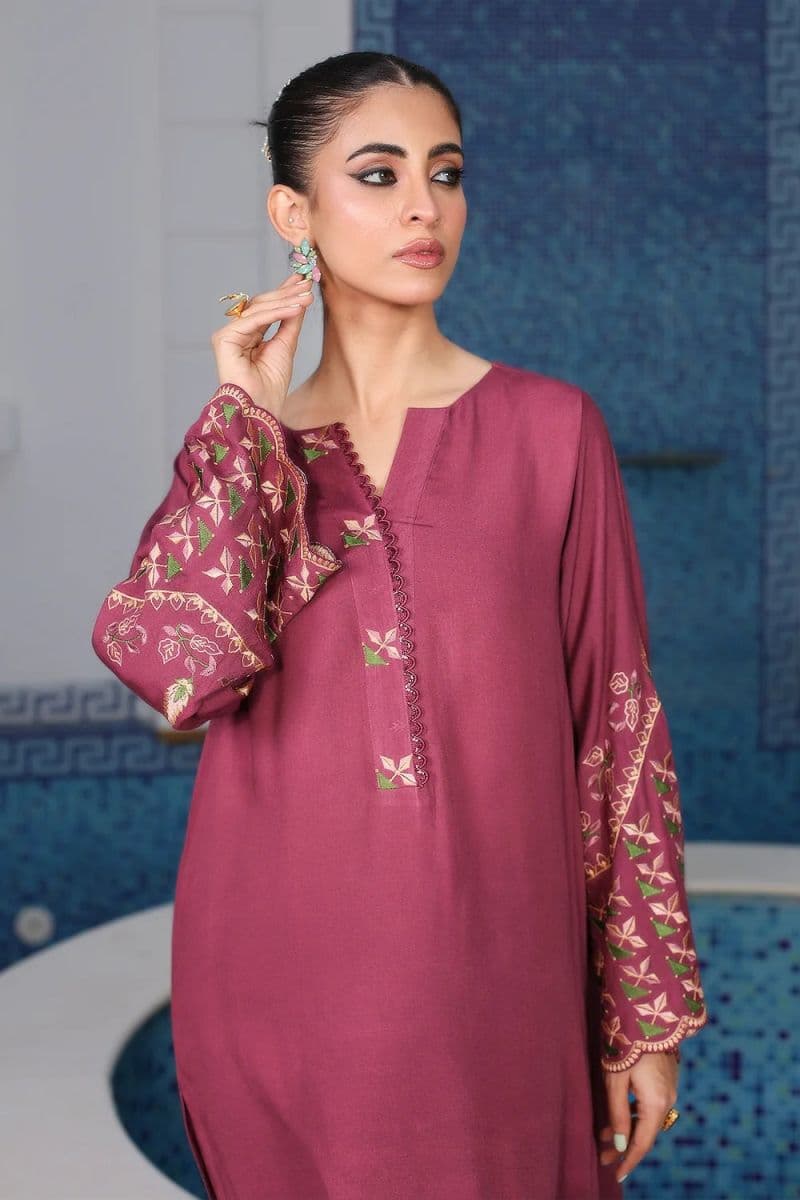2 Piece - Embroidered Karandi Suit thumbnail