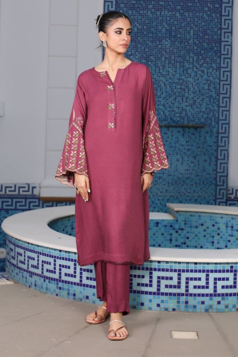 2 Piece - Embroidered Karandi Suit thumbnail