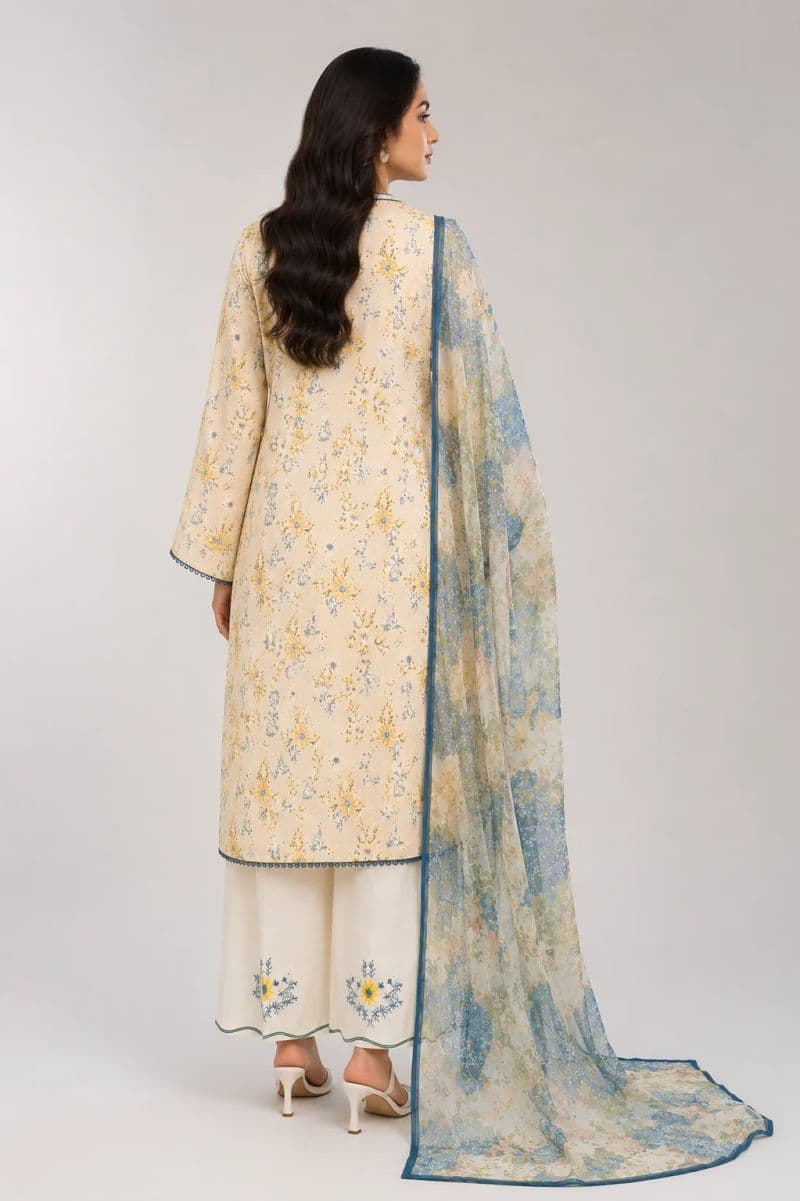 3 Piece - Embroidered Chikankari Suit thumbnail