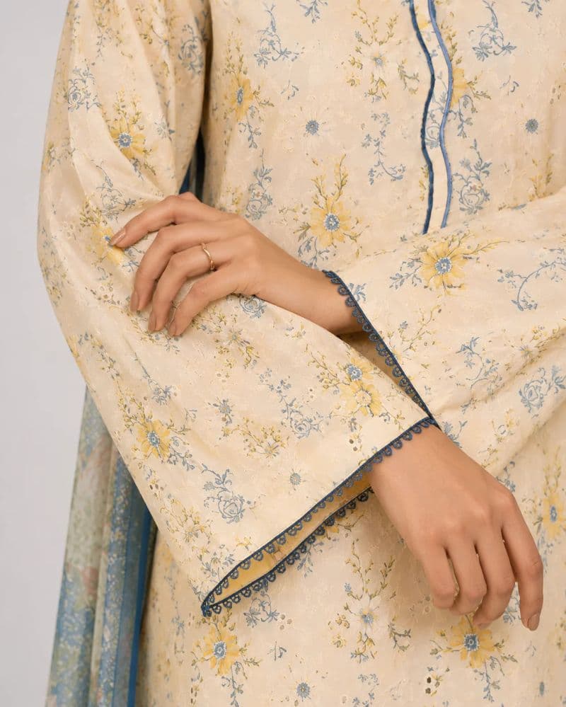 3 Piece - Embroidered Chikankari Suit thumbnail