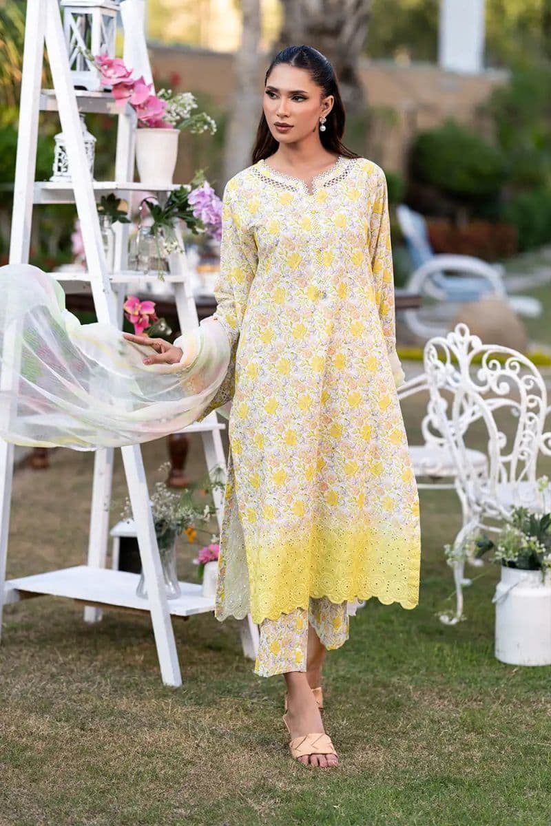 3 Piece - Embroidered Printkari Suit thumbnail