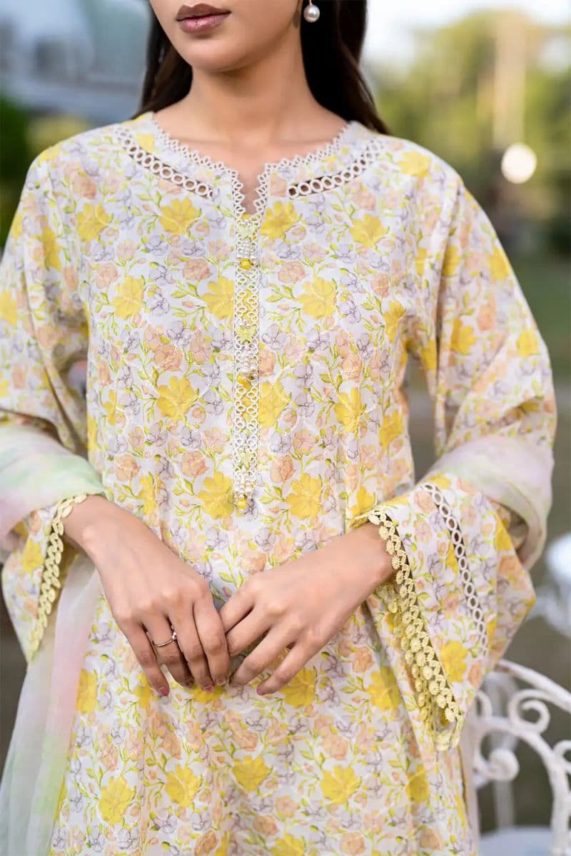 3 Piece - Embroidered Printkari Suit thumbnail
