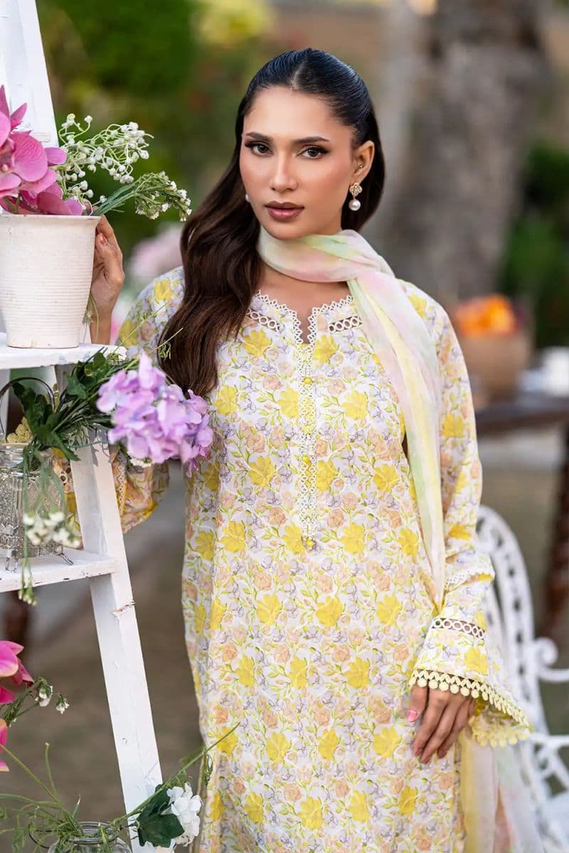 3 Piece - Embroidered Printkari Suit thumbnail