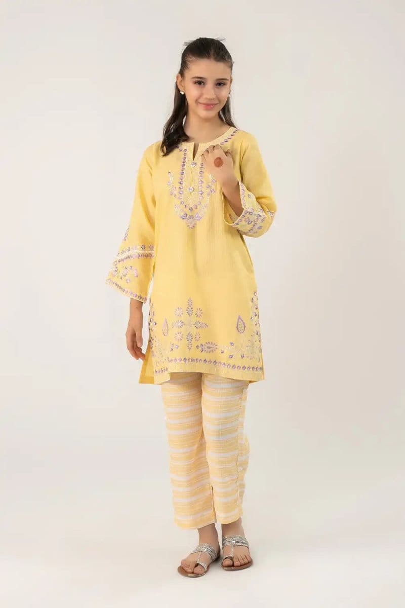 2 Piece - Embroidered Texture Suit thumbnail