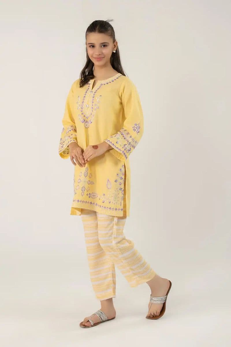2 Piece - Embroidered Texture Suit thumbnail
