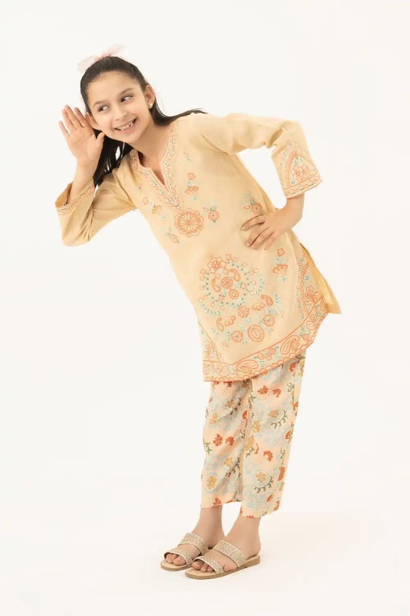 2 Piece - Embroidered Texture Suit thumbnail