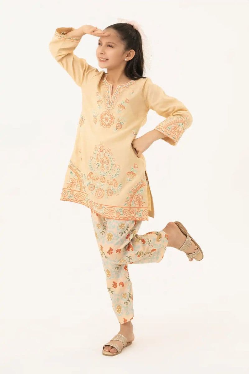 2 Piece - Embroidered Texture Suit thumbnail