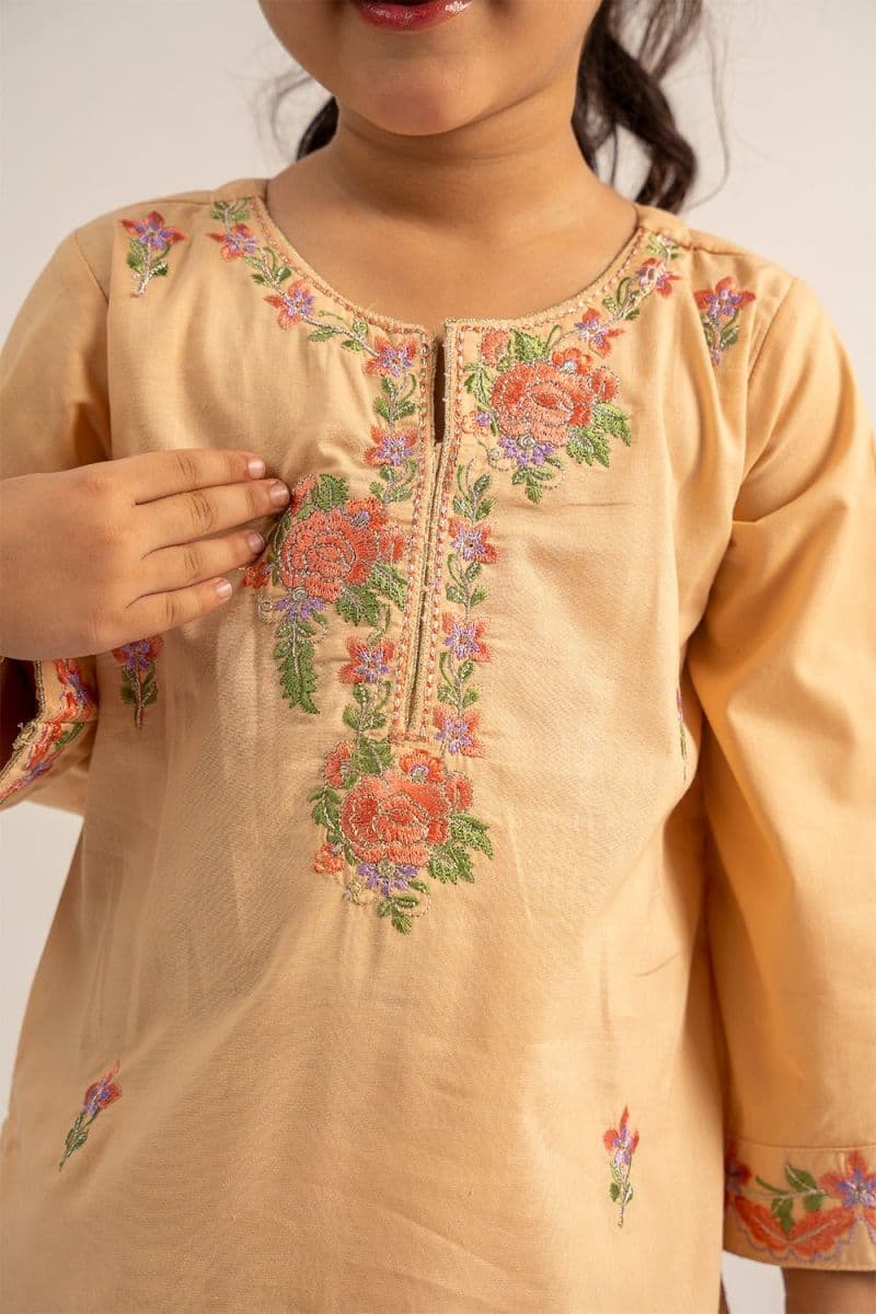 2 Pc Cotton Lawn Dyed Embroidered Suit For Girl thumbnail