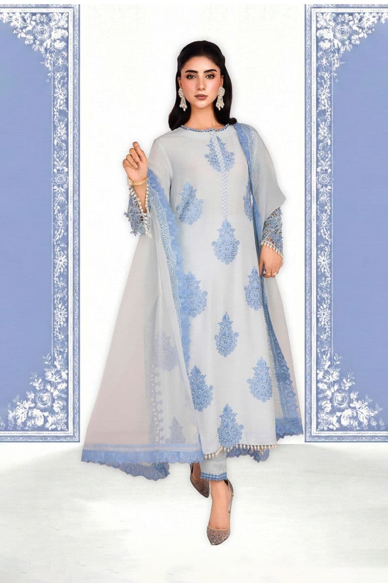 NOOR-E-SAMA – 2PC RAWSILK & ORGANZA EID FESTIVE PRET