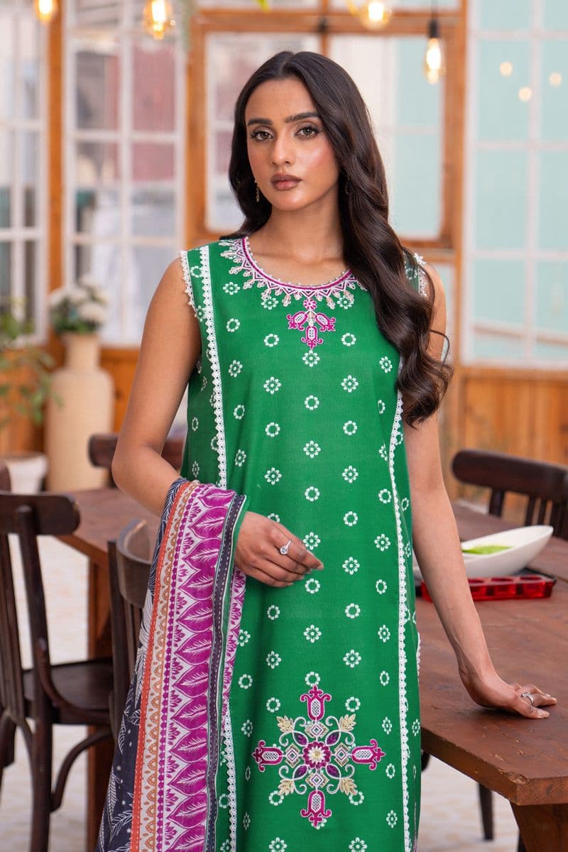 Embroidered - 2 Pc Lawn Suit (Lawn Dupatta)