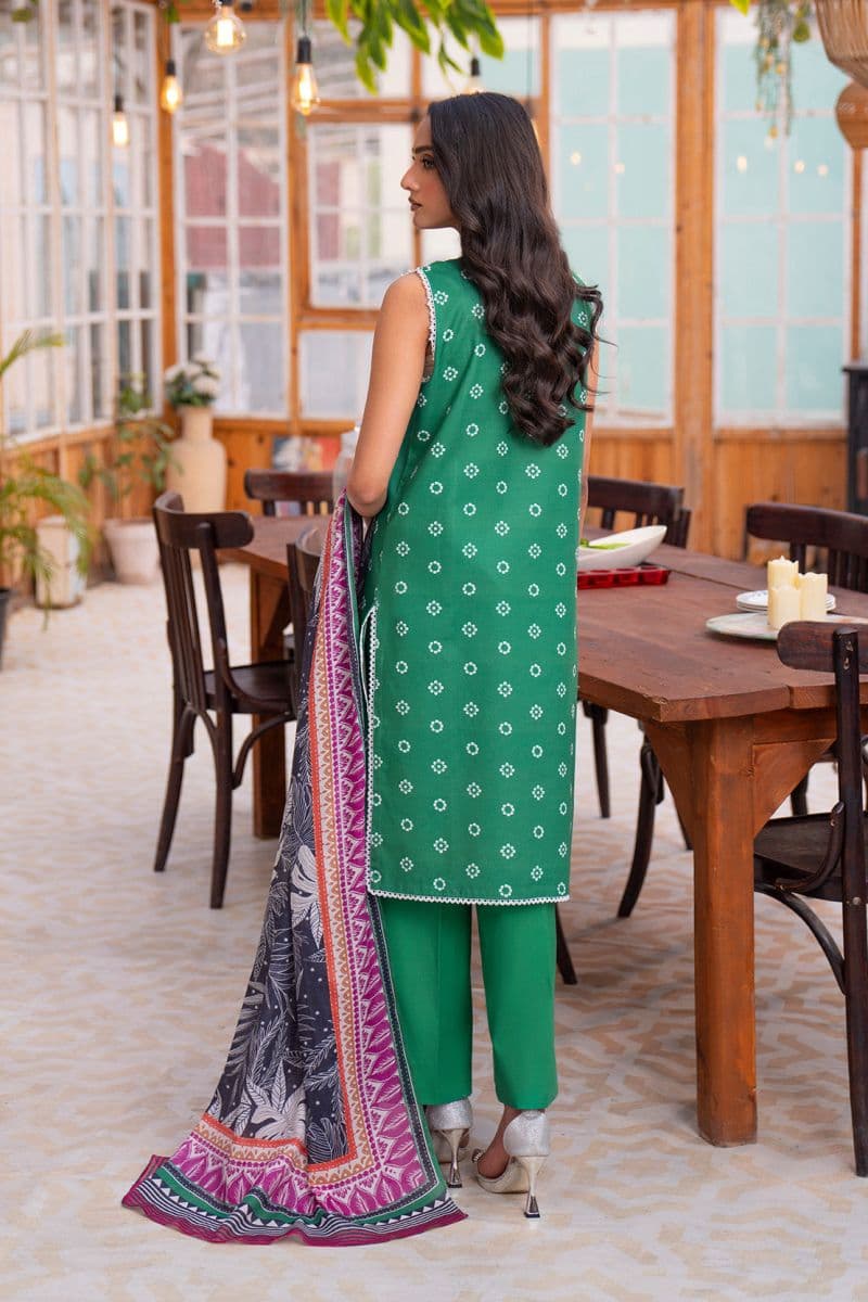 Embroidered - 2 Pc Lawn Suit (Lawn Dupatta)
