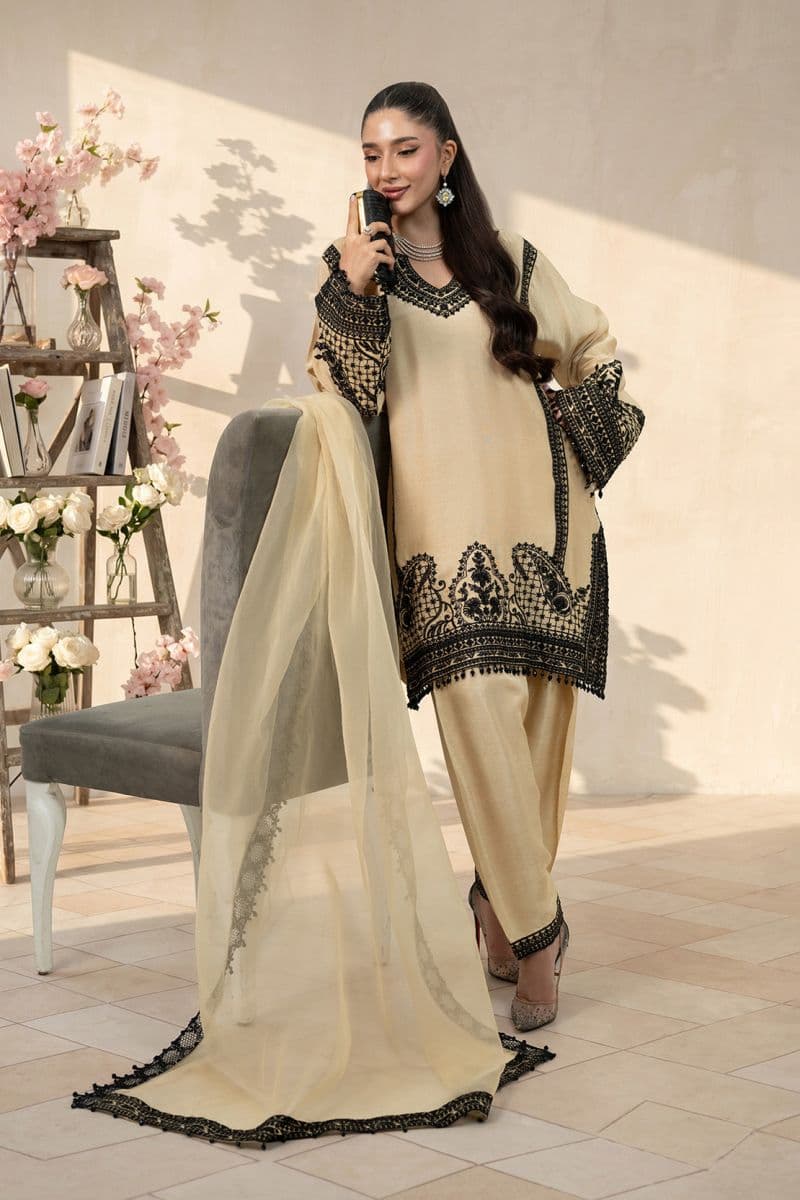 SPARKLE 2PC RAWSILK & ORGANZA EID FESTIVE PRET thumbnail