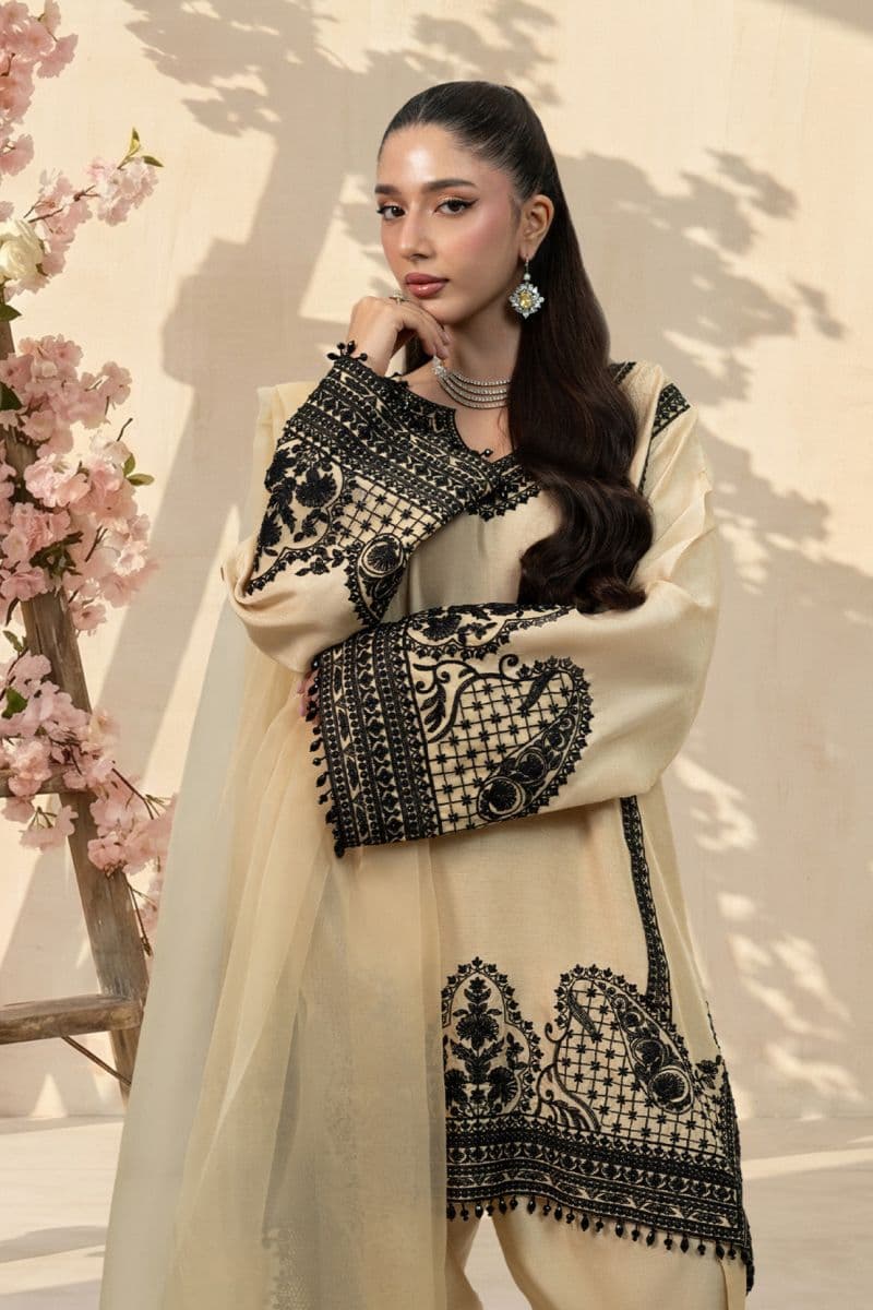 SPARKLE 2PC RAWSILK & ORGANZA EID FESTIVE PRET thumbnail