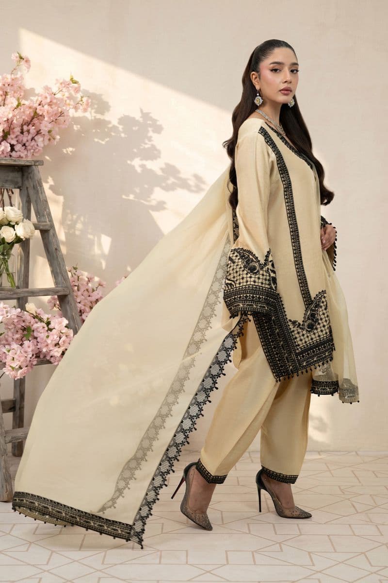 SPARKLE 2PC RAWSILK & ORGANZA EID FESTIVE PRET thumbnail