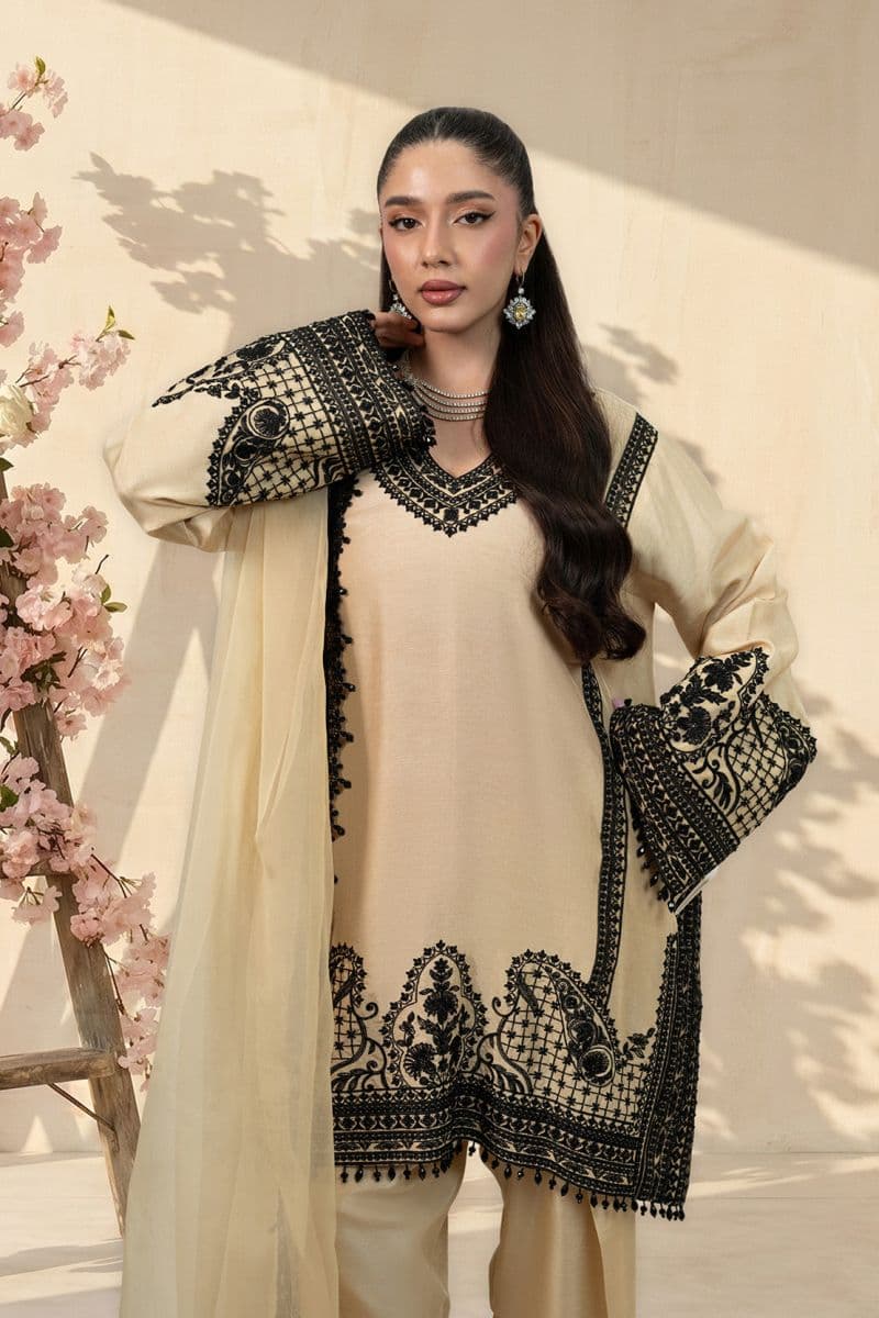 SPARKLE 2PC RAWSILK & ORGANZA EID FESTIVE PRET thumbnail