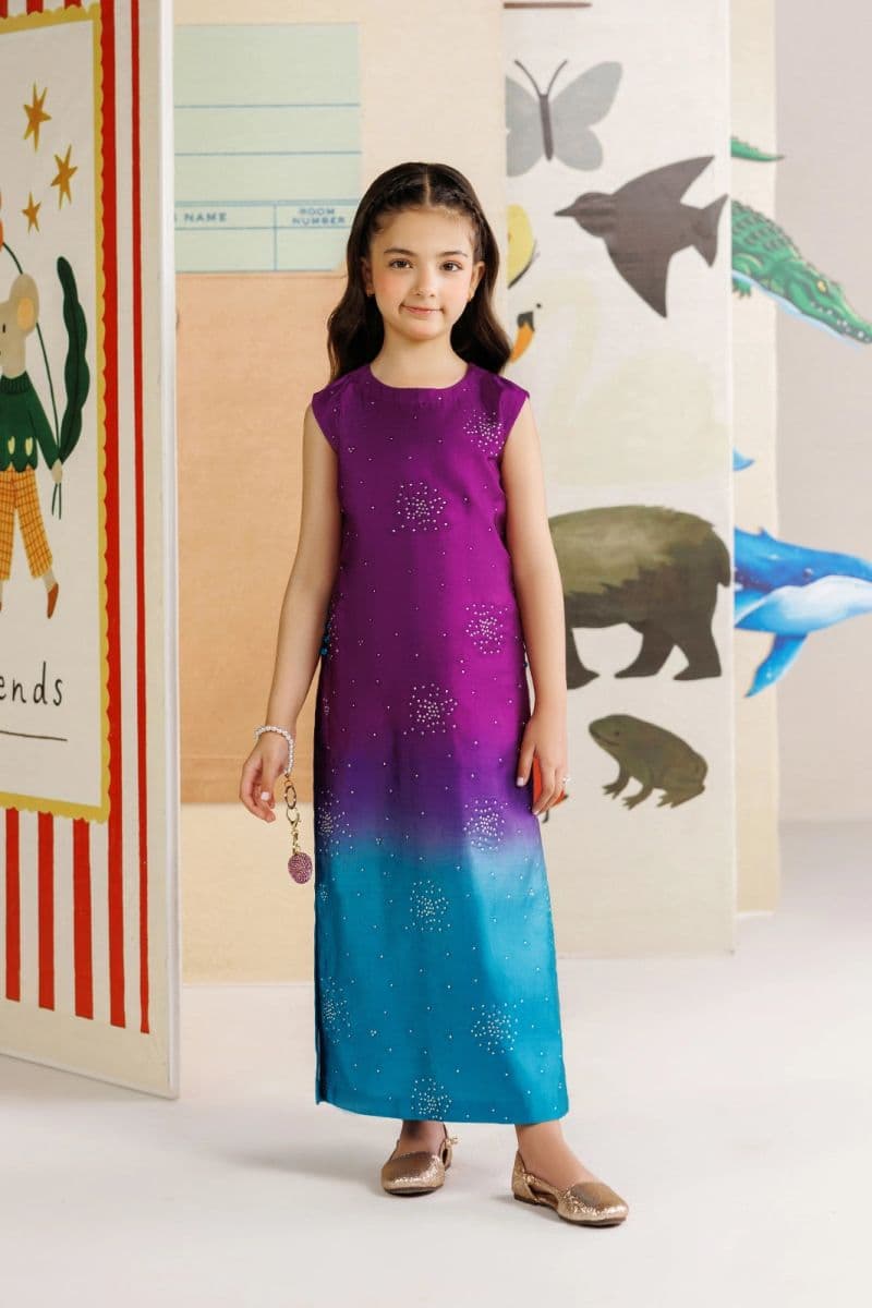 Charmeuse silk An elegant ombre silk long 2 Piece Ready-to-Wear Suit
