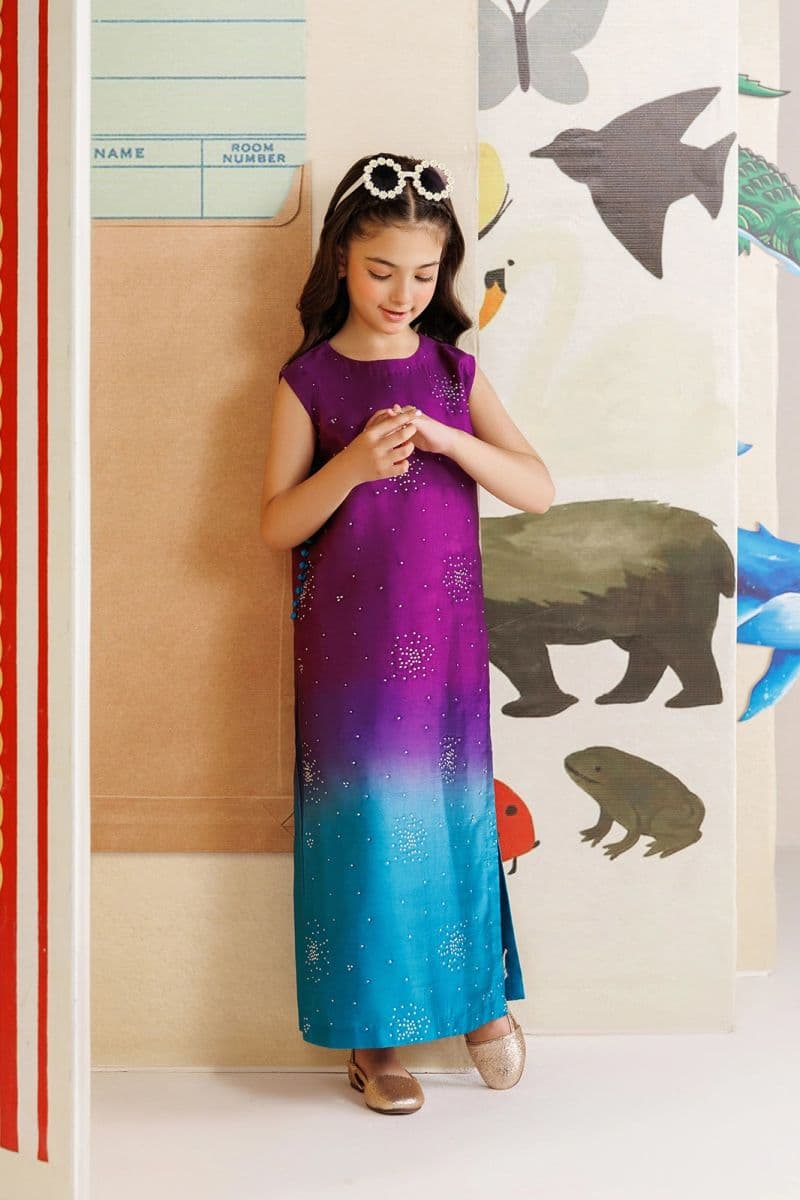 Charmeuse silk An elegant ombre silk long 2 Piece Ready-to-Wear Suit